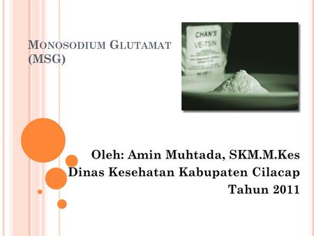 Monosodium Glutamat (MSG)