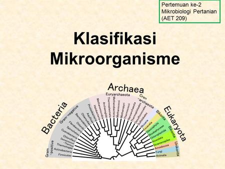 Klasifikasi Mikroorganisme