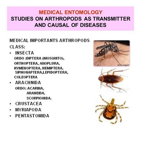 II. ARTHROPODS AS TRANSMITTER OF DISEASES