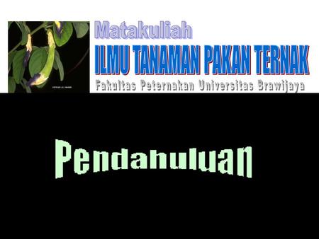 Kode MK : PEM 4002 SKS: 3 (2-1) Waktu: 100 menit / tatap muka Dosen pengasuh: Dr.Ir.Ifar Subagiyo,M Agr St Ir. Siti Nurul Kamaliyah,MP. Semester: 2.