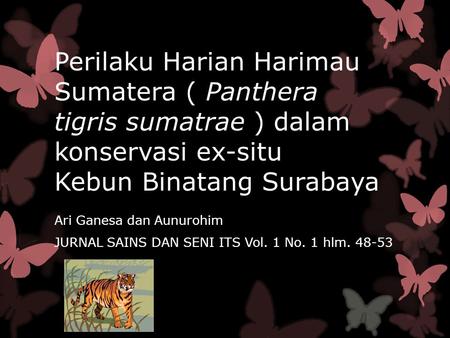 Perilaku Harian Harimau Sumatera ( Panthera tigris sumatrae ) dalam konservasi ex-situ Kebun Binatang Surabaya Ari Ganesa dan Aunurohim JURNAL SAINS.