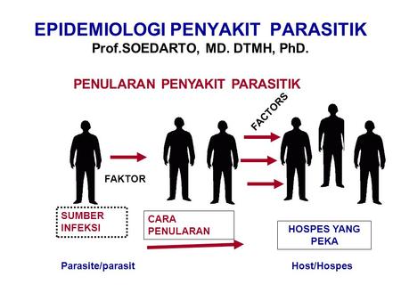 EPIDEMIOLOGI PENYAKIT PARASITIK Prof.SOEDARTO, MD. DTMH, PhD.