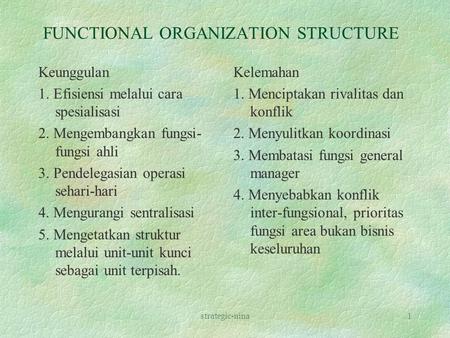 FUNCTIONAL ORGANIZATION STRUCTURE