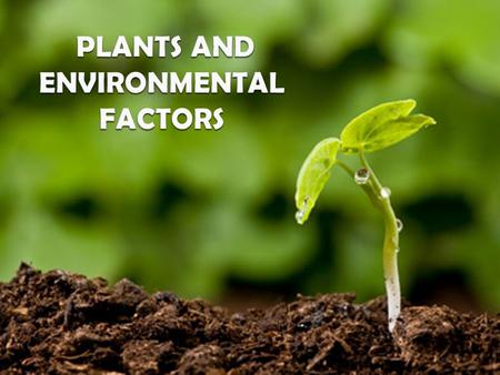 its about.. An understanding of the ways individual plants and their physiology are impacted by different factors of the environment is an essential.