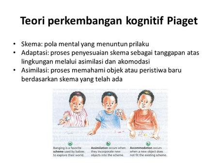 Teori perkembangan kognitif Piaget
