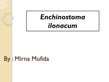 Enchinostoma ilonacum