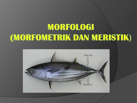1. Morfologi, adalah ilmu yang mempelajari tentang bentuk organisme, terutama hewan dan tumbuhan yang mencakup bagian- bagiannya. Bagian tubuh ikan mempunyai.