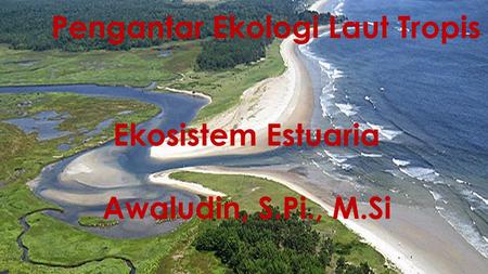 Pengantar Ekologi Laut Tropis Ekosistem Estuaria Awaludin, S.Pi., M.Si.