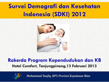 Survei Demografi dan Kesehatan Indonesia (Sdki) 2012