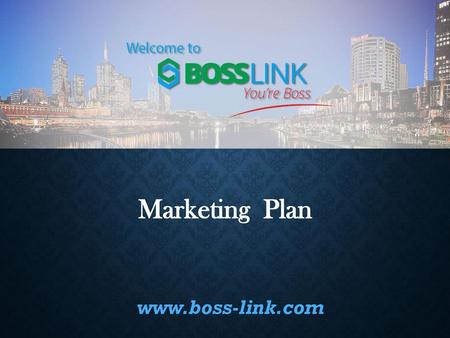Marketing Plan www.boss-link.com.