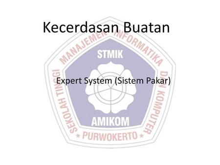 Expert System (Sistem Pakar)