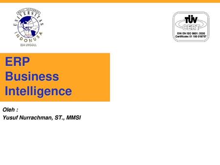 ERP Business Intelligence