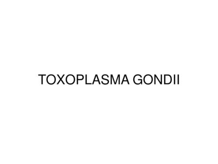 TOXOPLASMA GONDII.