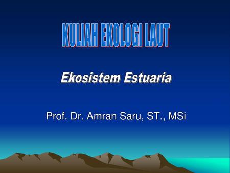 Prof. Dr. Amran Saru, ST., MSi