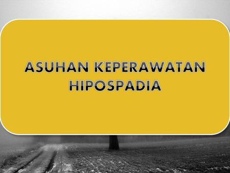 ASUHAN KEPERAWATAN HIPOSPADIA