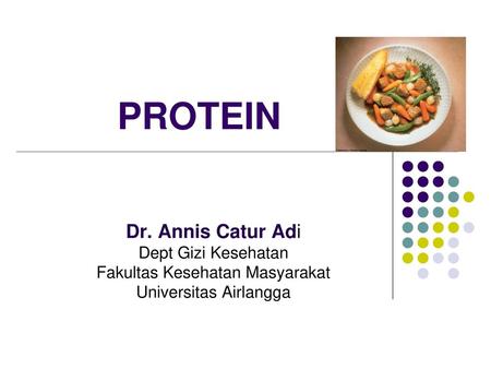 PROTEIN Dr. Annis Catur Adi Dept Gizi Kesehatan