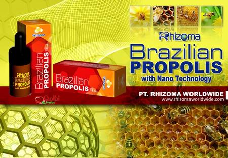 PT. RHIZOMA WORLDWIDE www.rhizomaworldwide.com.