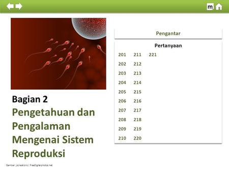 Bagian 2 Pengetahuan dan Pengalaman Mengenai Sistem Reproduksi Pengantar Gambar: jscreationz | FreeDigitalphotos.net 100% SDKI 2012 m.