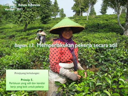 ©2009 Rainforest Alliance Bagian 13: Memperlakukan pekerja secara adil Language: Bahasa Indonesia Version: 2011 Prinsip yang berhubungan: Prinsip 5. Perlakuan.