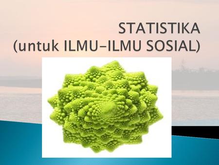 STATISTIKA (untuk ILMU-ILMU SOSIAL)