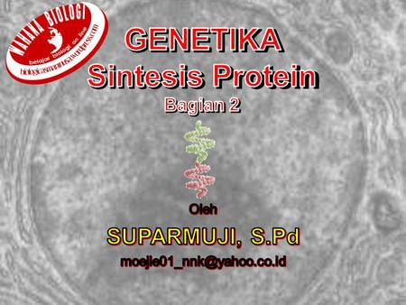 GENETIKA Sintesis Protein Bagian 2