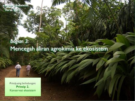©2009 Rainforest Alliance Bagian 3: Mencegah aliran agrokimia ke ekosistem Bahasa Indonesia Versi: 2011 Prinsip yang berhubungan: Prinsip 2. Konservasi.