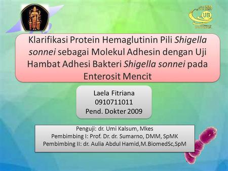 Klarifikasi Protein Hemaglutinin Pili Shigella sonnei sebagai Molekul Adhesin dengan Uji Hambat Adhesi Bakteri Shigella sonnei pada Enterosit Mencit Laela.