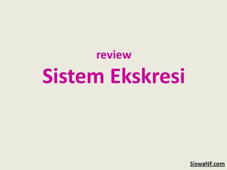 review Sistem Ekskresi