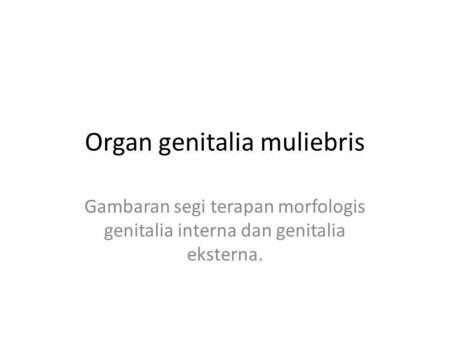 Organ genitalia muliebris