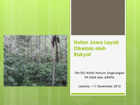 Hutan Jawa Layak Dikelola oleh Rakyat Tim E2J-Klinik Hukum Lingkungan FH UGM dan ARUPA Jakarta – 11 Desember 2012.