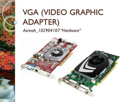 VGA (VIDEO GRAPHIC ADAPTER)