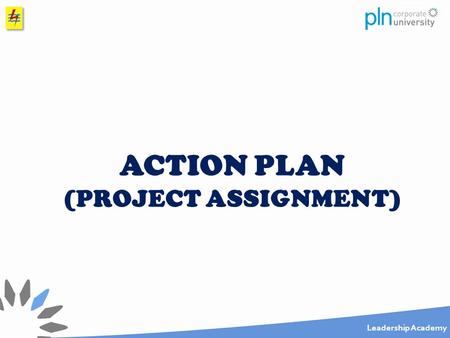 ACTION PLAN (PROJECT ASSIGNMENT).