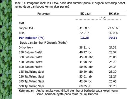Dosis dan Sumber P Organik (kg/ha)