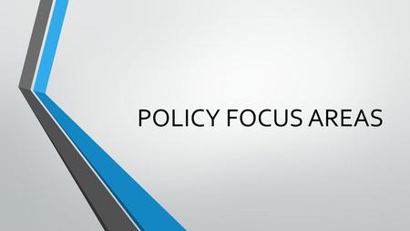 POLICY FOCUS AREAS.