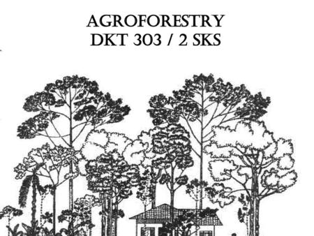 AGROFORESTRY DKT 303 / 2 SKS.