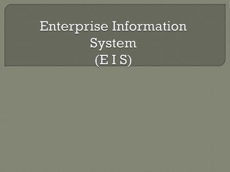 Enterprise Information System (E I S)