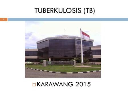 TUBERKULOSIS (TB) KARAWANG 2015.
