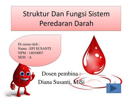 Struktur Dan Fungsi Sistem Peredaran Darah