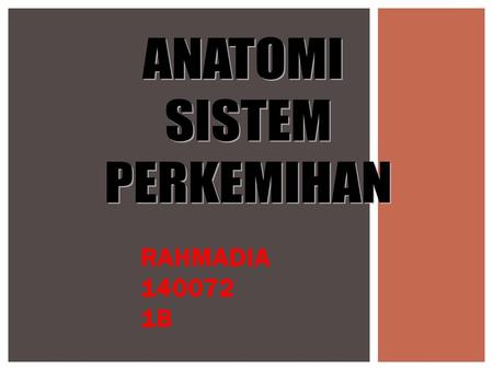 ANATOMI SISTEM PERKEMIHAN RAHMADIA 140072 1B.