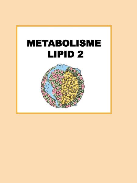METABOLISME LIPID 2.