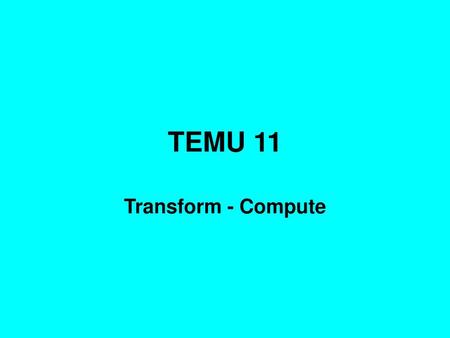 TEMU 11 Transform - Compute.