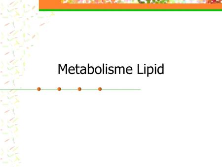 Metabolisme Lipid.