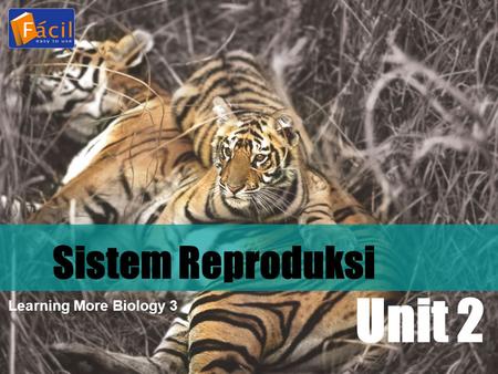 Sistem Reproduksi Unit 2 Learning More Biology 3.