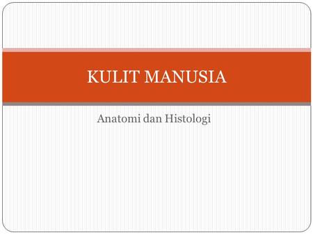 KULIT MANUSIA Anatomi dan Histologi.