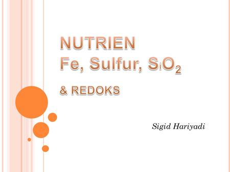 NUTRIEN Fe, Sulfur, SiO2 & REDOKS
