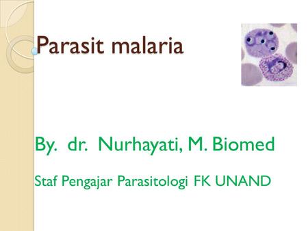 By. dr. Nurhayati, M. Biomed Staf Pengajar Parasitologi FK UNAND