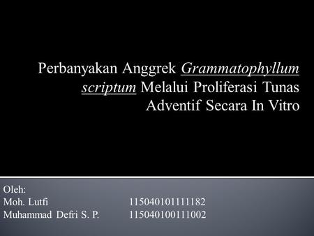 Perbanyakan Anggrek Grammatophyllum scriptum Melalui Proliferasi Tunas Adventif Secara In Vitro Oleh: Moh. Lutfi			115040101111182 Muhammad Defri S. P.	115040100111002.