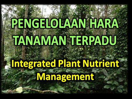 Integrated Plant Nutrient Management