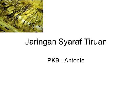Jaringan Syaraf Tiruan