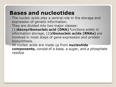 Bases and nucleotides The nucleic acids play a central role in the storage and expression of genetic information. They are divided into two major classes: